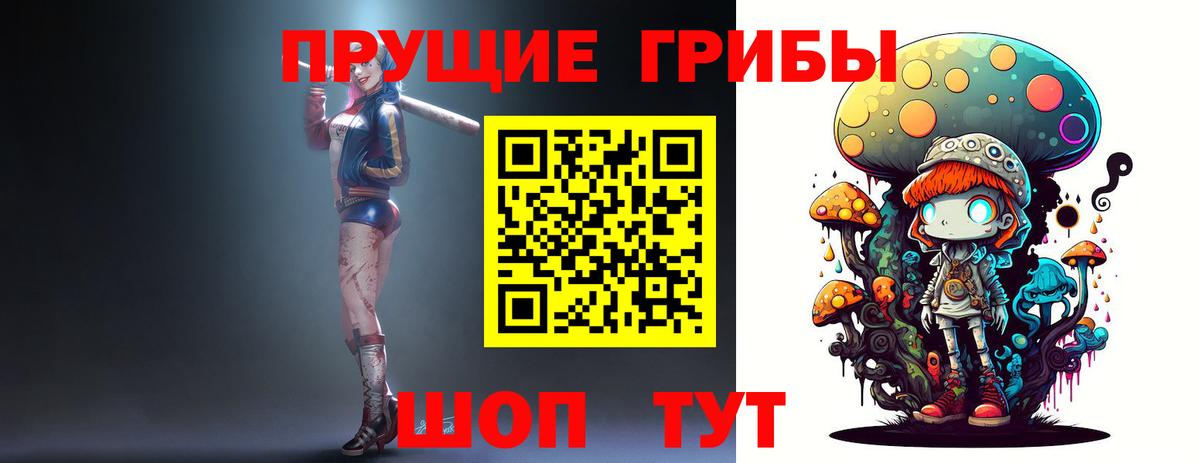 Галлюциногенные грибы GOLDEN TEACHER  Вход с VPN  купить наркотик  Галлюциногенные грибы мухоморы  Канск 