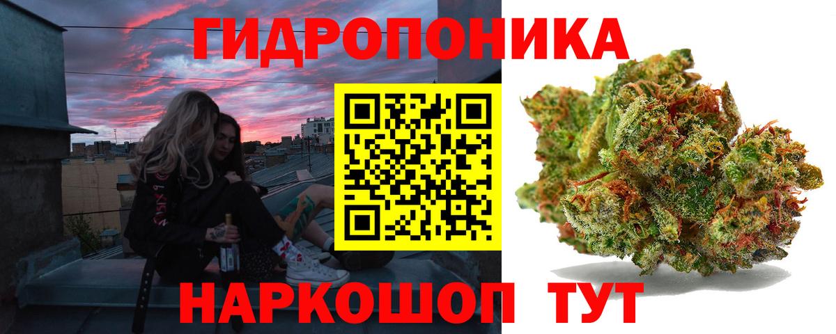 Шишки марихуана план  Бошки марихуана сатива  Канск  Вход с VPN  Бошки марихуана Bruce Banner 